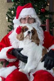 Santa Came to Town - 14: 